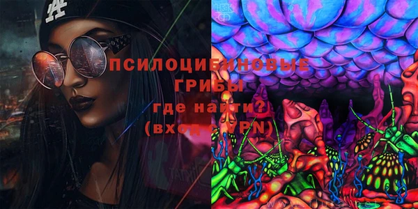 spice Абинск
