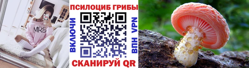 mega ссылка Кисловодск Псилоцибиновые грибы Psilocybine cubensis закладка